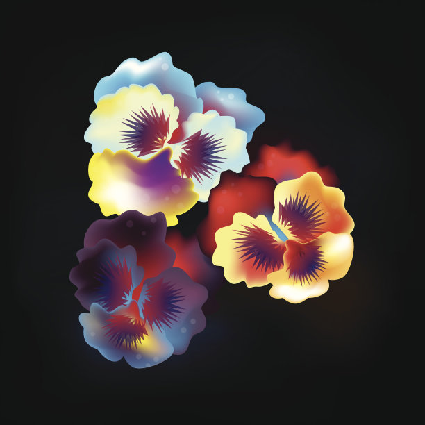 堇型花图片下载