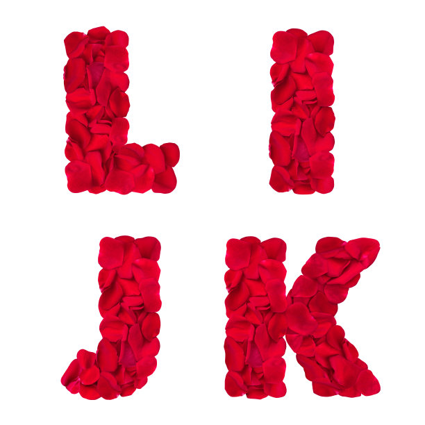 字母"L" "I" "J" "K"是玫瑰花瓣做成的图片下载