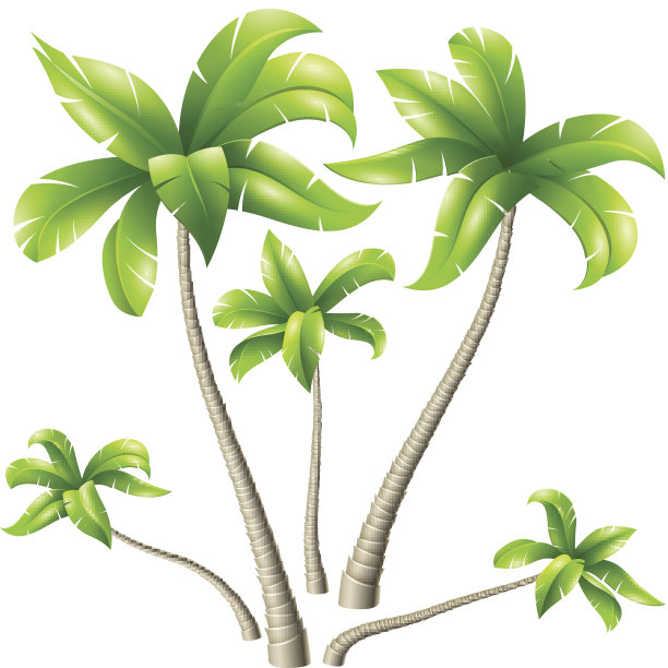 椰子树组图片下载