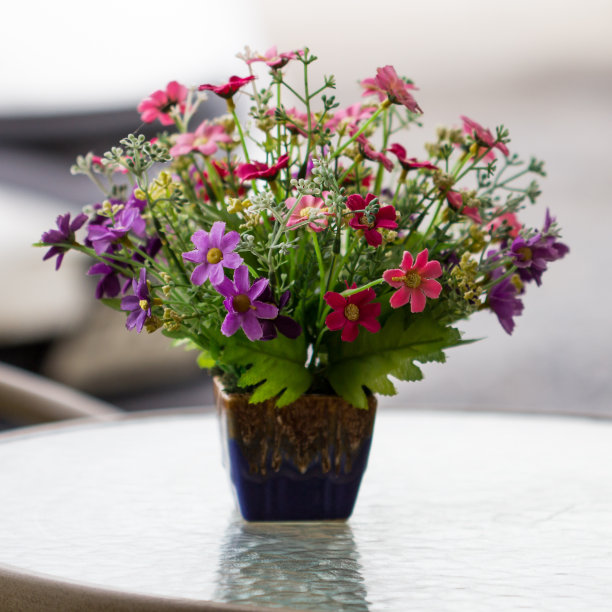 美丽的塑料花图片下载