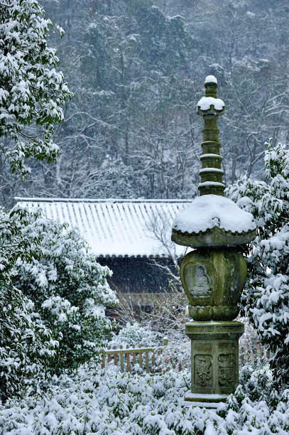 德瓦贾图片下载