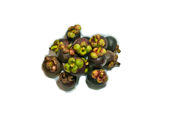 山竹果图片下载