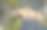 一只斑点鬣狗站立的特写照片图片下载