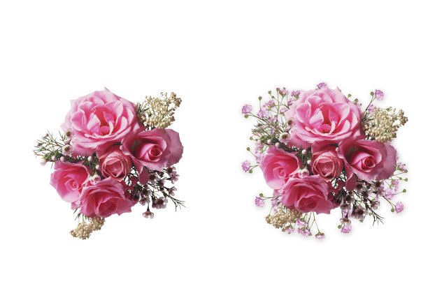 玫瑰花束隔离图片下载