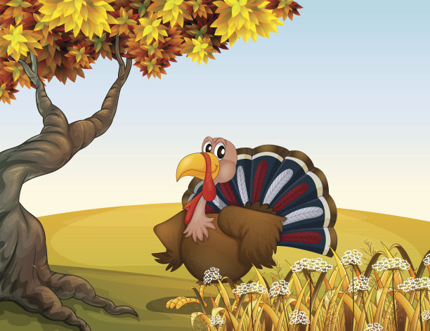 美丽的孔雀图片下载