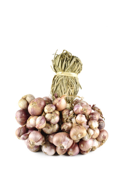 红洋葱图片下载