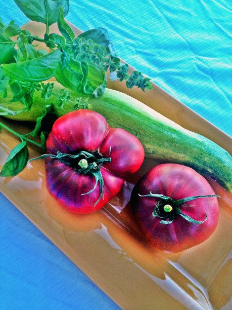 西红柿，黄瓜和罗勒图片下载