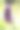特写的紫色，紫罗兰花图片下载