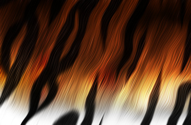 老虎的皮毛图片下载