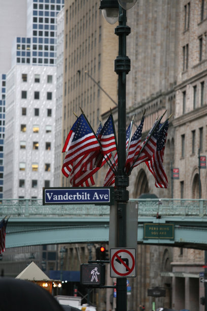 范德比尔特大道图片下载