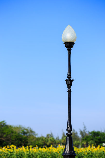 蓝天公园里的灯杆图片下载