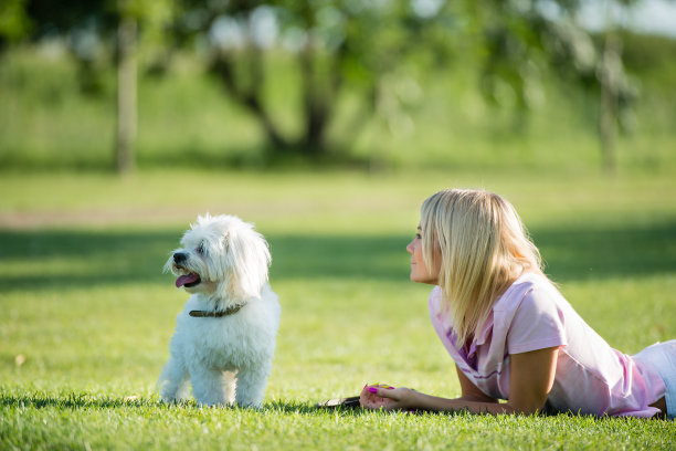女孩和狗图片下载