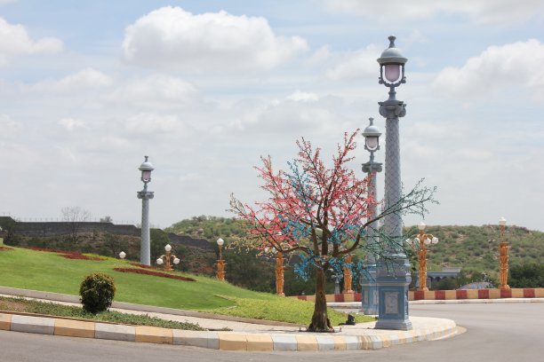 美丽的花园图片下载