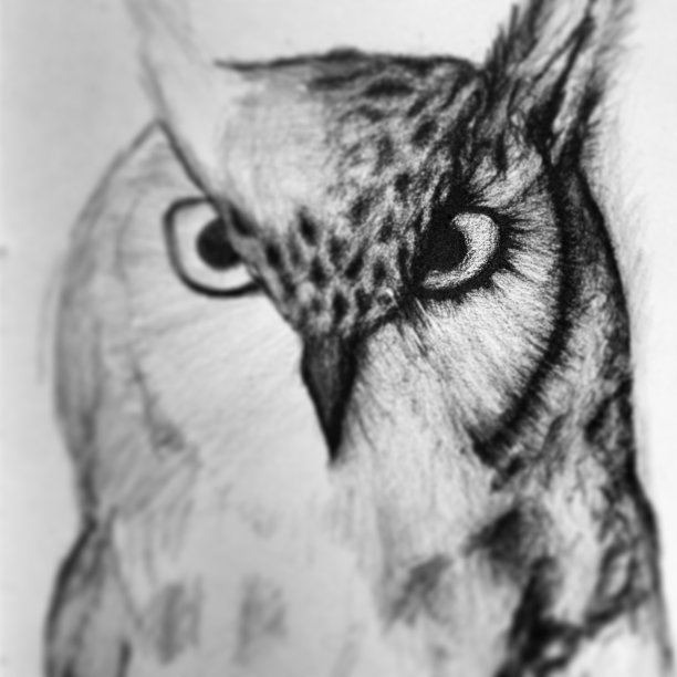 港湾式停车站图片下载