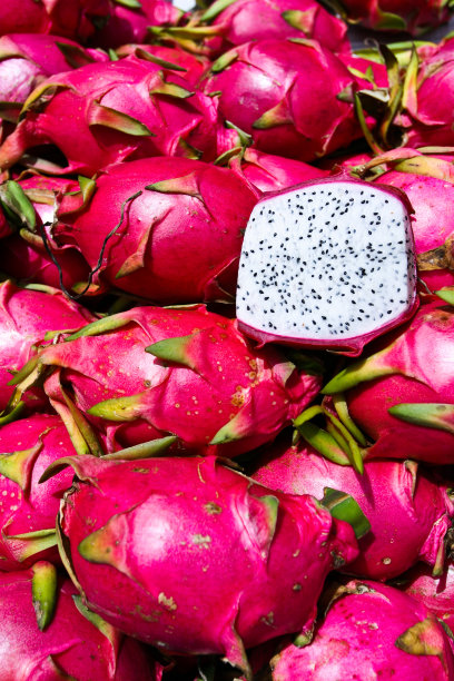 龙的水果图片下载