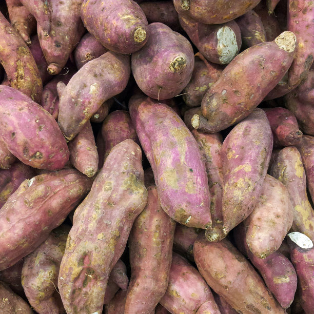 甜土豆图片下载