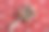 日本婴儿玩具????????????????图片下载