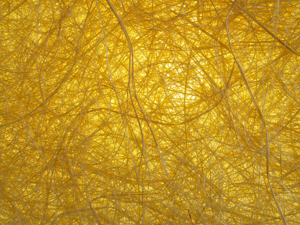 织结构图片下载