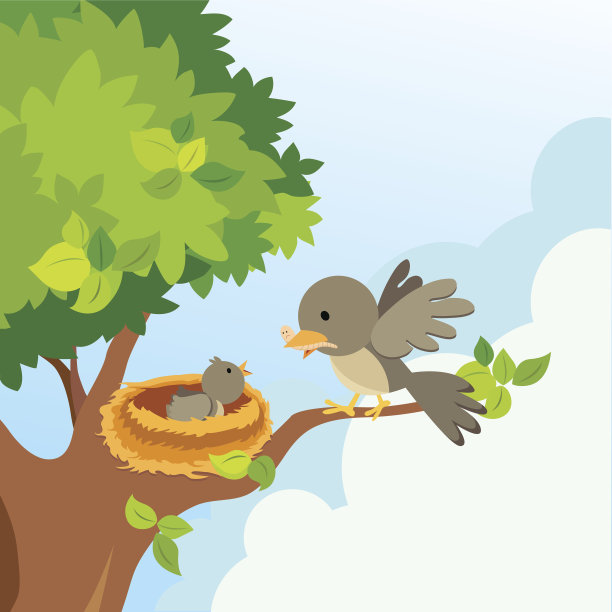 鸟妈妈的爱图片下载