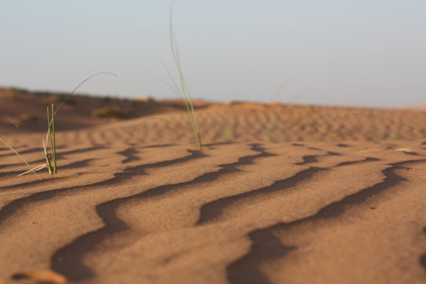 砂海图片下载