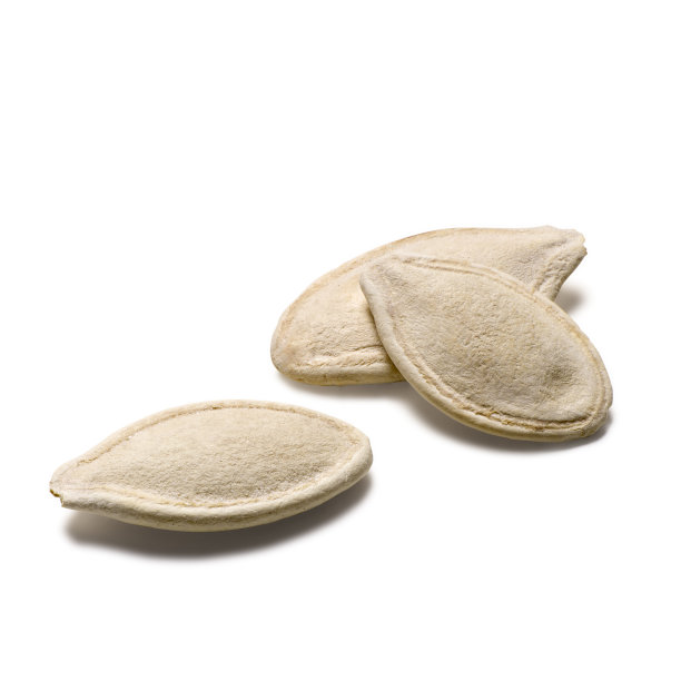 南瓜种子素材图片