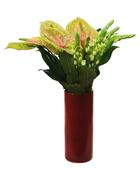 花束来自红花瓶内的心球花，孤立在白色上。图片下载