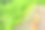 有机蔬菜园里的莴苣和土豆。图片下载