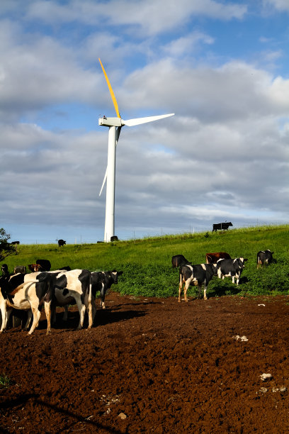 风力turbine-clean能源图片下载
