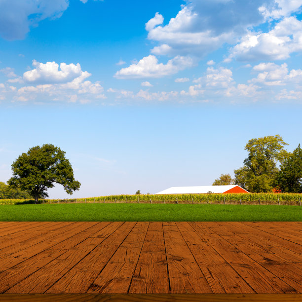 旧桌子表面与模糊的乡村景观图片下载