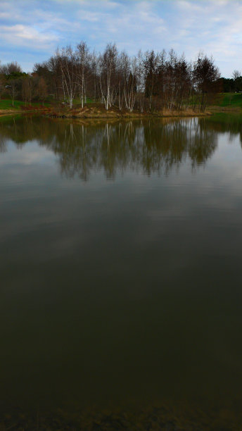 湖泊与森林图片下载