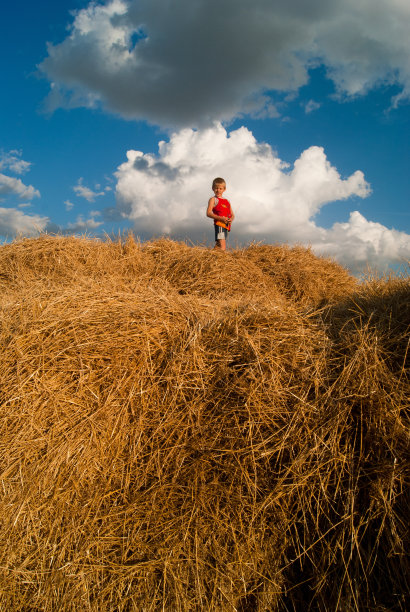 男孩在稻草堆和天空图片下载