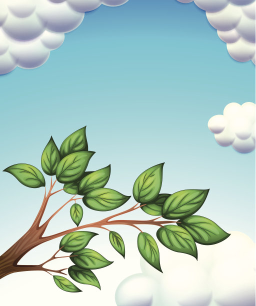 有叶子的树枝图片下载