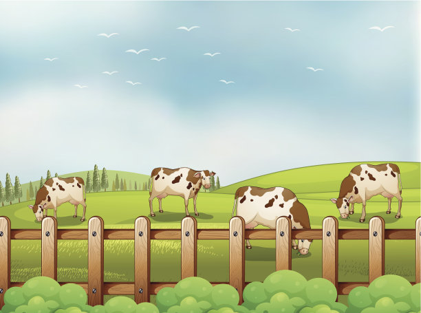 农场的牛图片下载