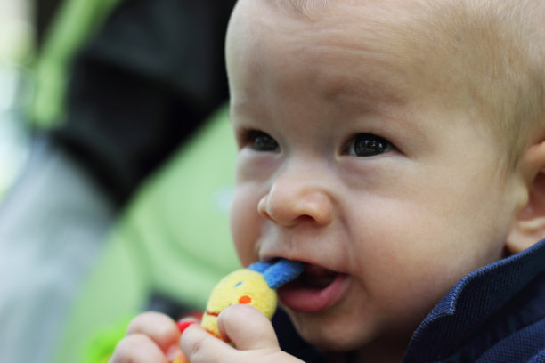 小宝贝玩图片下载