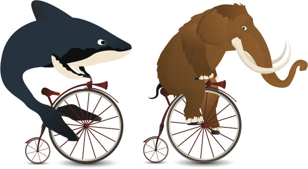 大的比赛素材图片