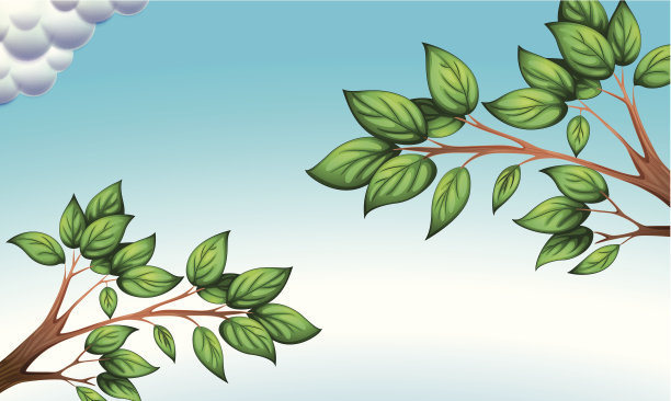 绿色的树叶和湛蓝的天空图片下载