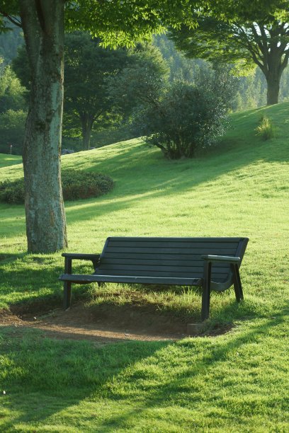 公园的长椅上绿色图片下载
