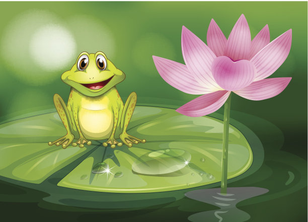 青蛙在池塘粉红色的花旁边图片下载