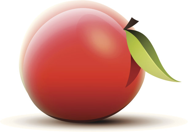 向量桃孤立图片下载