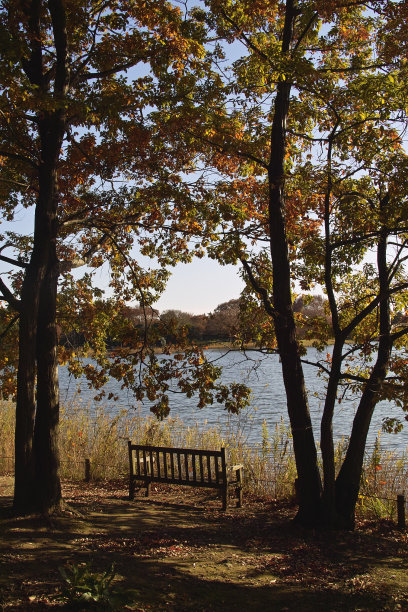 有树荫遮蔽的长椅上图片下载