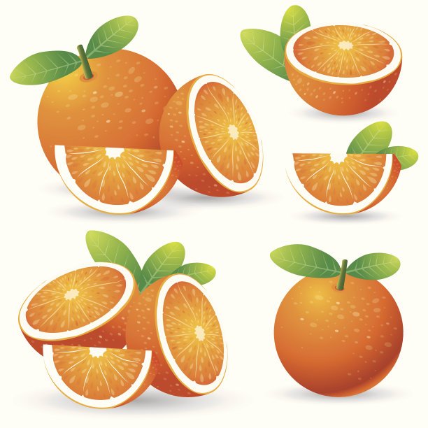 叶子固定的橙子图片下载