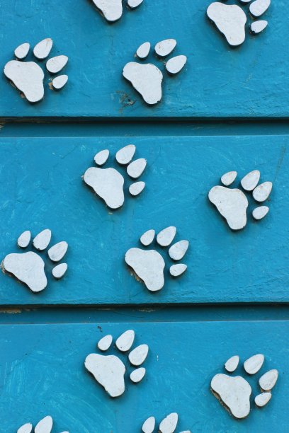 动物的脚印图片下载