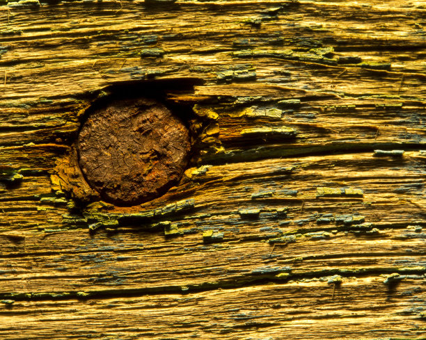 墙上的旧钉子图片下载