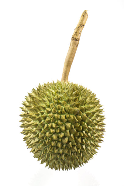 榴莲图片下载