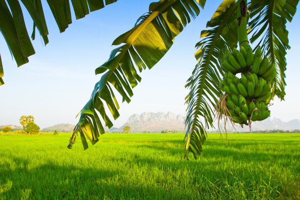 泰国中部景观图片下载