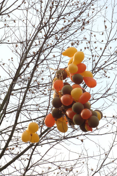 气球卡在树上图片下载