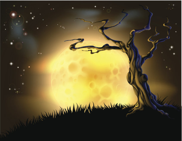 橙色万圣节的月亮树背景图片下载