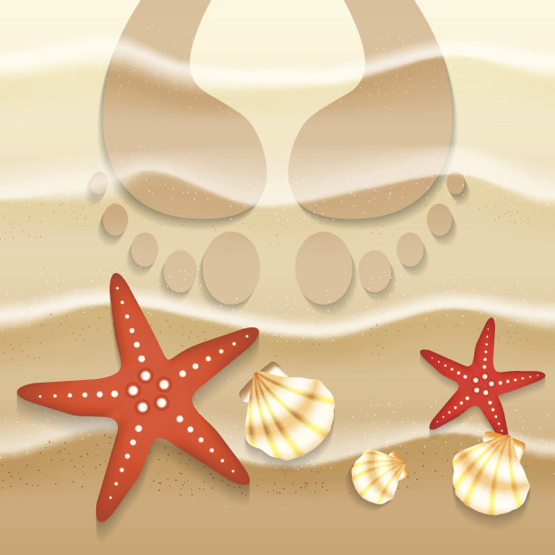 沙滩上的海星和贝壳图片下载