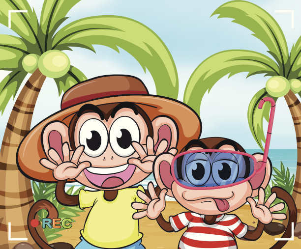 海滩上有趣的猴子图片下载