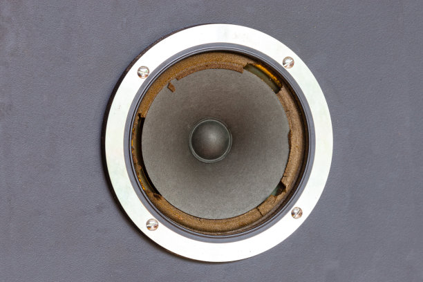 穿议长图片下载